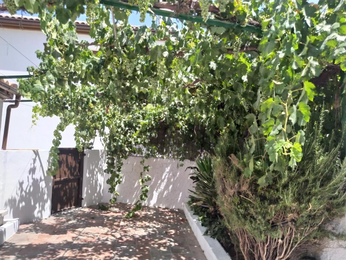 Villa La Casa Del Ingles Montefrío Exterior foto